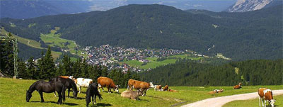 Сельская жизнь в Австрии.